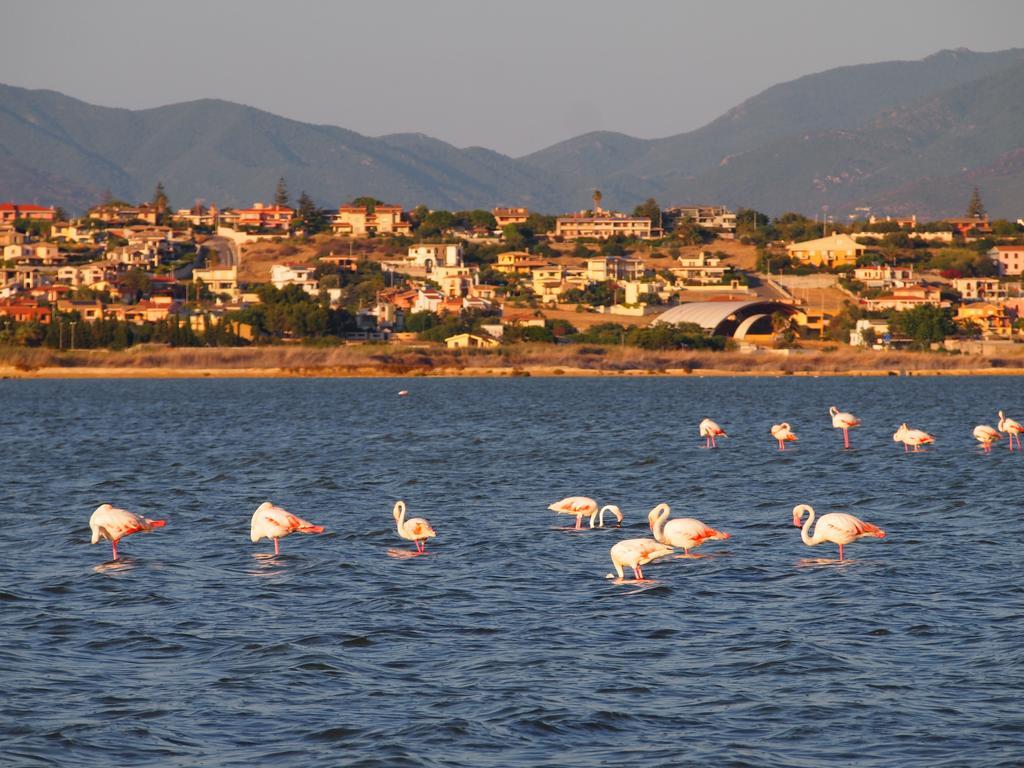 Superpanoramico Panzió Cagliari Kültér fotó